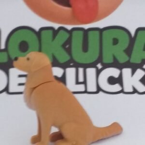 PERRITO NUEVA G